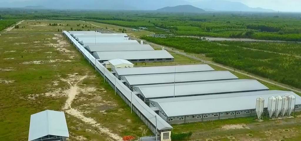 Farrow-to-finish pig farm buildings