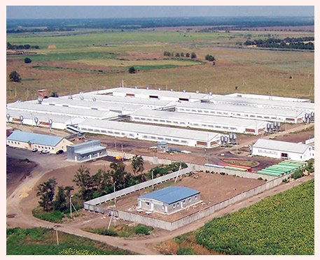 Multi-site pig breeding and finishing complex in Southern Russia