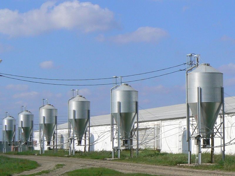 Feed storage and delivery silos on a multi-site pig farm in Russia managed by Lee Chafer